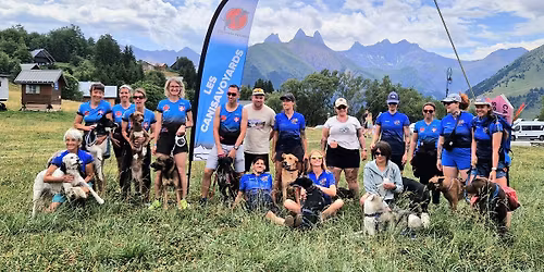 Canicross aux \u00e9tangs de Crosagny