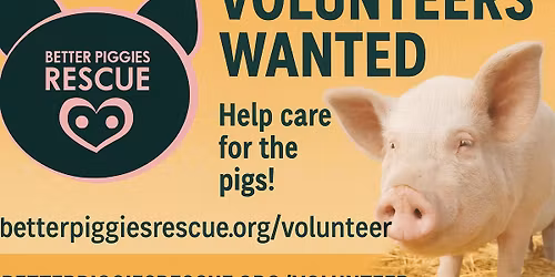 Better Piggies Volunteer Orientation 