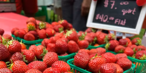 Strawberry Festival