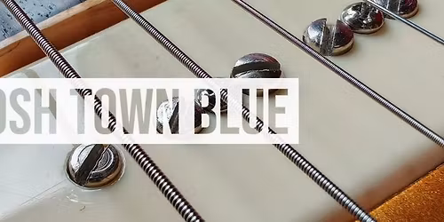 Posh Town Blue at The Crown, Peterborough