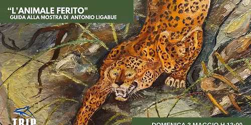 "L'animale ferito", guida alla mostra di Antonio Ligabue a cura di Claudia Caredda