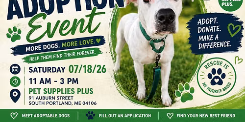 Rescue Is Our Favorite Breed | Adoption Day at Pet Supplies Plus, South Portland!
