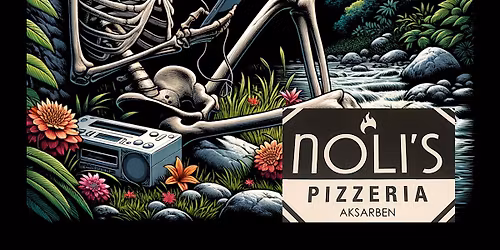 Dire Wolves acoustic trio 