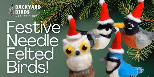 December 16, 2025 - Festive Needle Felted Birds with Alana!