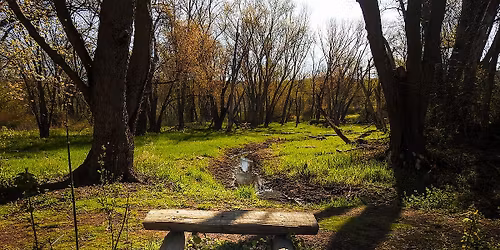 Parking Into the Woods - Victoria