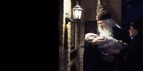 Harry Potter and the Sorcerer's Stone - Newark