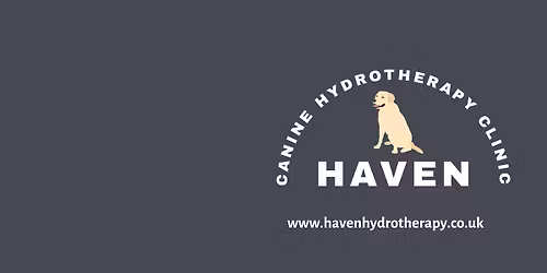 Dental technician Tasha Hookway