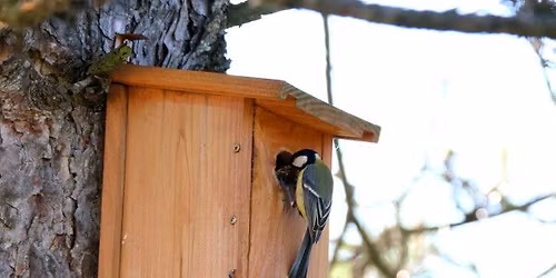 troc aux plantes, fabrication de nichoirs et mangeoires 