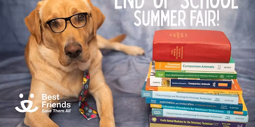 SLC: End-of-School Summer Festival