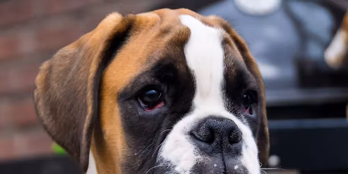 Fr\u00fchjahrspr\u00fcfung 2026 mit LR Thomas Bretschneider (BK)