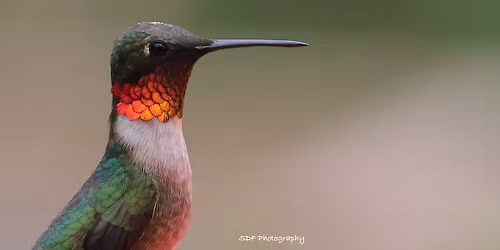 SDF Photography Solo Exhibit Opening Night