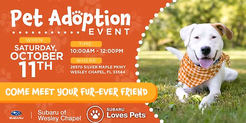 Fur-Ever Friend Pet Adoption Event