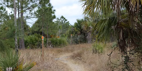 Guided Walk: CREW Flint Pen Strand Trails (Orange Trail)