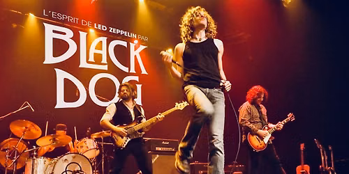 Black Dog - Hommage \u00e0 Led Zeppelin