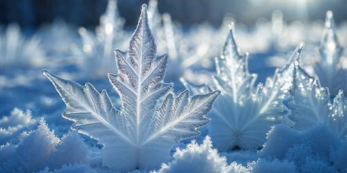 Return to the Light - Winter Solstice 