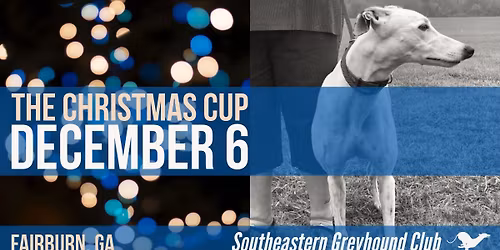 Christmas Cup - Lure Coursing