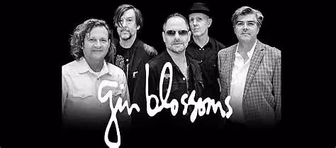 Blues Traveler, Gin Blossoms & Spin Doctors at Turtle Creek Stadium