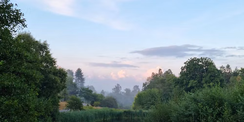Midsummer Evening Walk