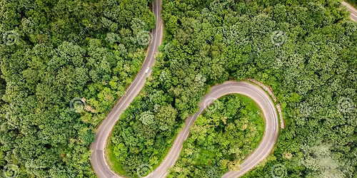 Fine della biologia un libro di Sergio Rotino