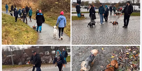 Ut p\u00e5 tur med Musti Lade \ud83d\udc9a