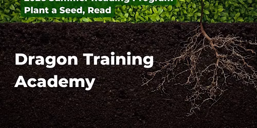 Dragon Training Academy