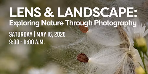 Lens & Landscape: Exploring Nature Through Photography