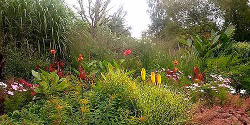 Birmingham Botanical Gardens