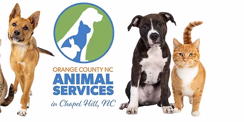 Vaccination & Microchip Clinic