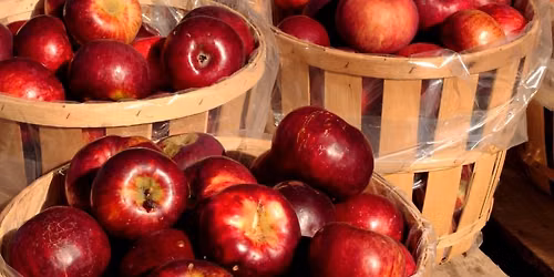 Volunteer at Kanbe's Markets