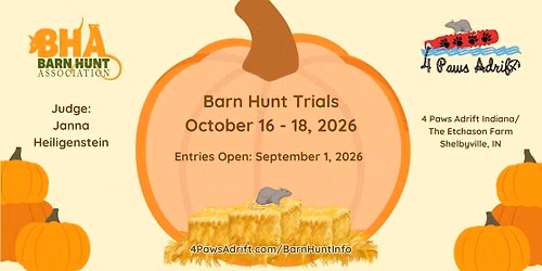 4 Paws Adrift Swim & Sniff Club October 2026 BHA Trials
