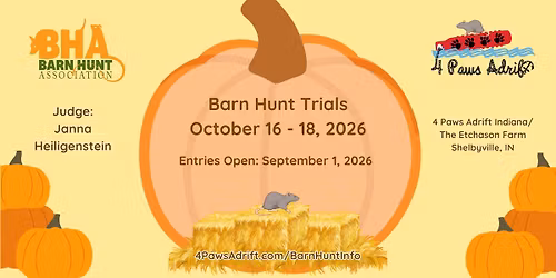 4 Paws Adrift Swim & Sniff Club October 2026 BHA Trials