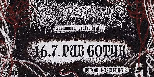16.7. BYTOM, pub Gotyk - NECROCRANIUM, VERMINTIDE VISIONS, BERHELVEN