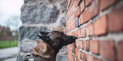 Kurs detekcji zapachowej dla ZAAWANSOWANYCH z elementami pracy operacyjnej - Gda\u0144sk 2026-2027