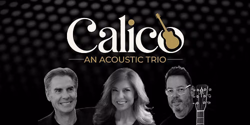66 Days of Fun: The End: Live music w\/ Calico