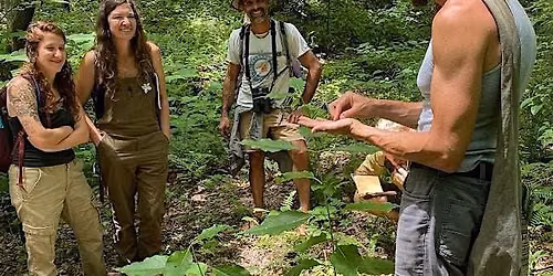 Wild woods wonders walk