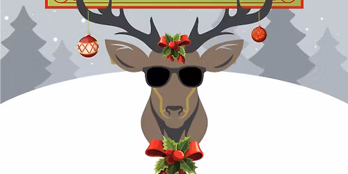 The Blind Reindeer: A Magical Holiday Pop-up