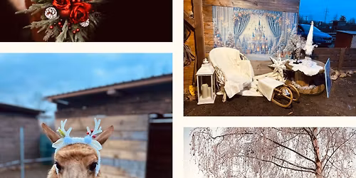 V\u00e1noce na farmi\u010dce