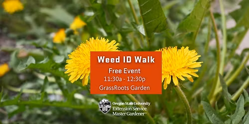 W**d Identification Walk