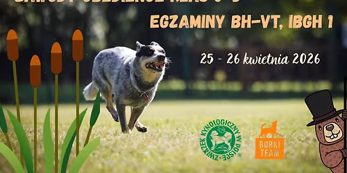 ZAWODY OBEDIENCE KLAS 0-3, EGZAMINY BH-VT, IBGH 1