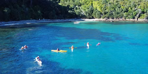 Day Sea Kayak Tour to Tiritiri Matangi Island