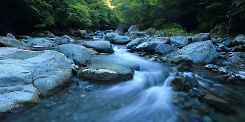 Let Rivers Roam - An Interactive Session - FREE Youth Workshop