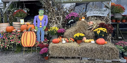 Maple Ridge Nursery Halloween & Fall Activities 2026