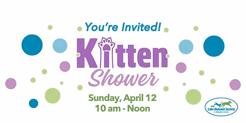 Kitten Shower 2026