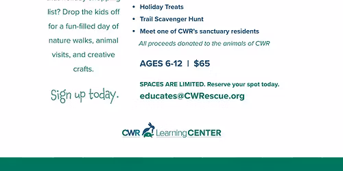 Holiday Fun at Stevens Creek Nature Center