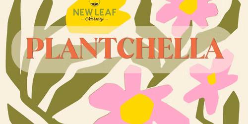 PLANTCHELLA