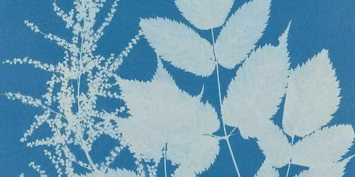 Workshop: Cyanotype Photography 