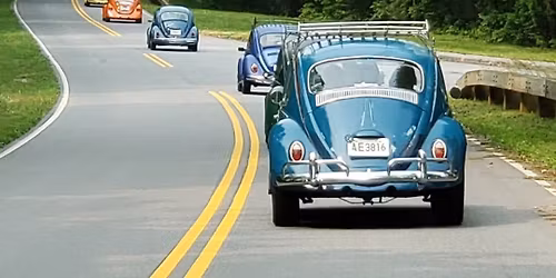 Buggin the Dragon 8