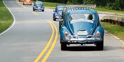 Buggin the Dragon 8