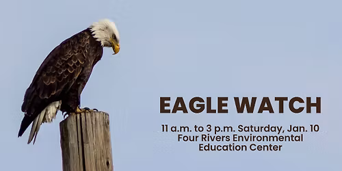 Eagle Watch