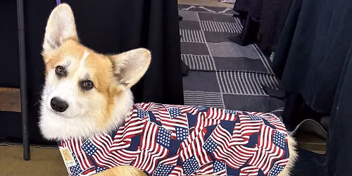 Lone Star State Classic Dog Show 